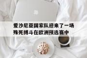 GOGO体育在线注册-爱沙尼亚国家队迎来了一场殊死搏斗在欧洲预选赛中