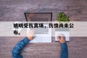 GOGO体育娱乐网页版-姚明受伤离场，伤情尚未公布。