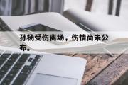 GOGO体育在线注册-孙杨受伤离场，伤情尚未公布。
