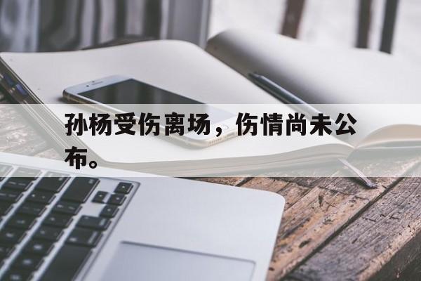 孙杨受伤离场，伤情尚未公布。
