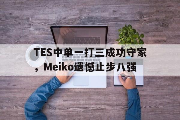 TES中单一打三成功守家，Meiko遗憾止步八强