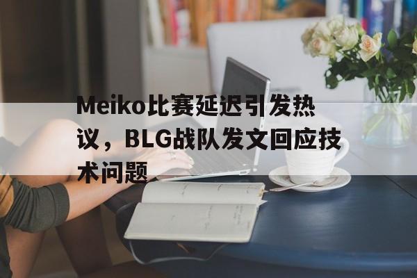 Meiko比赛延迟引发热议，BLG战队发文回应技术问题