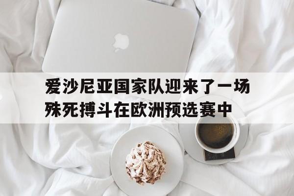 爱沙尼亚国家队迎来了一场殊死搏斗在欧洲预选赛中
