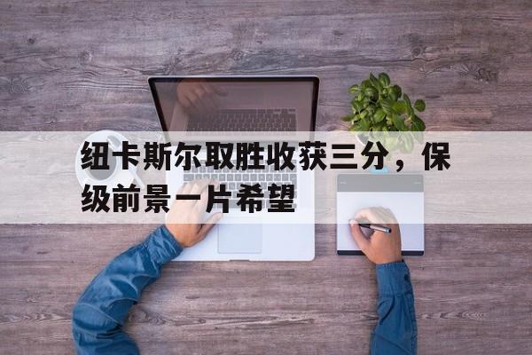 纽卡斯尔取胜收获三分，保级前景一片希望