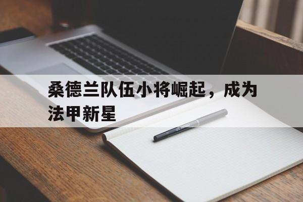 桑德兰队伍小将崛起，成为法甲新星